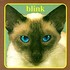 CD: Cheshire Cat Blink 182, 2000