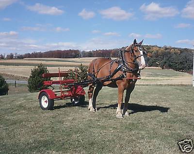 Pioneer Forecart Draft size horse drawn + fenders  